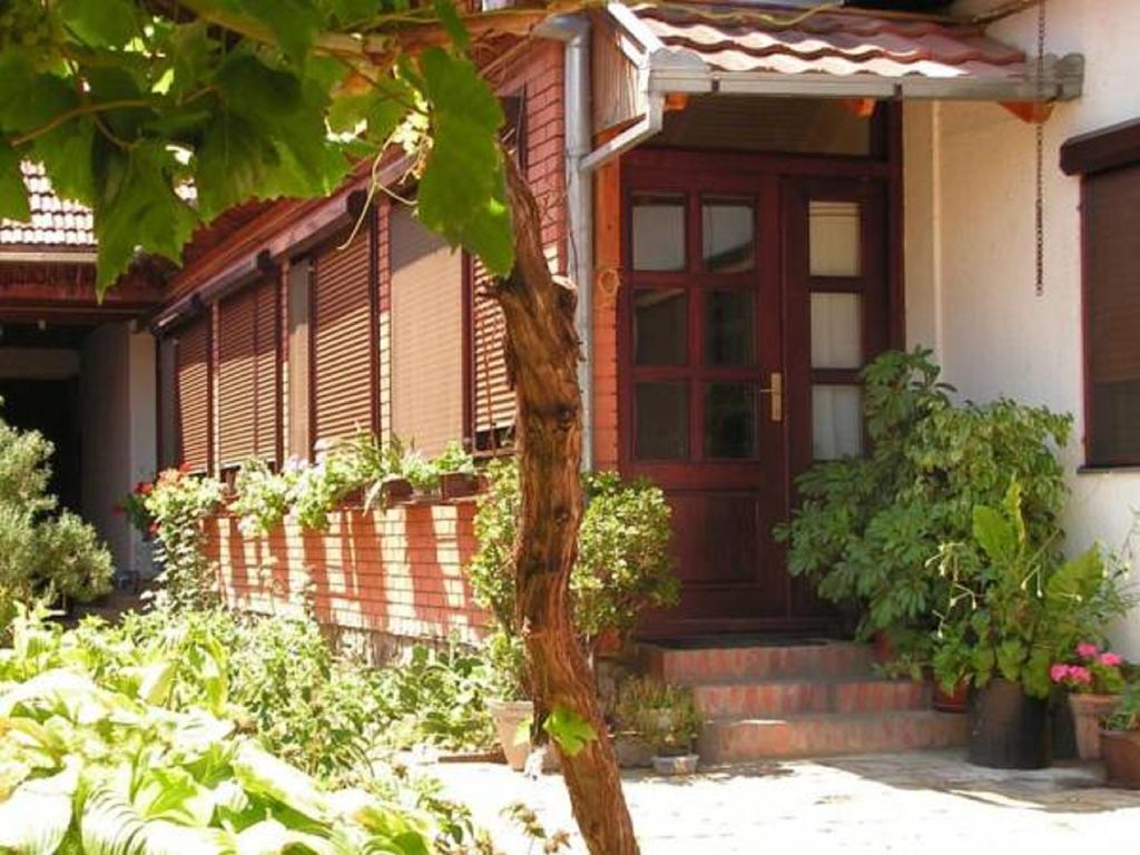 Sobe Gajic Karlofça Oda fotoğraf