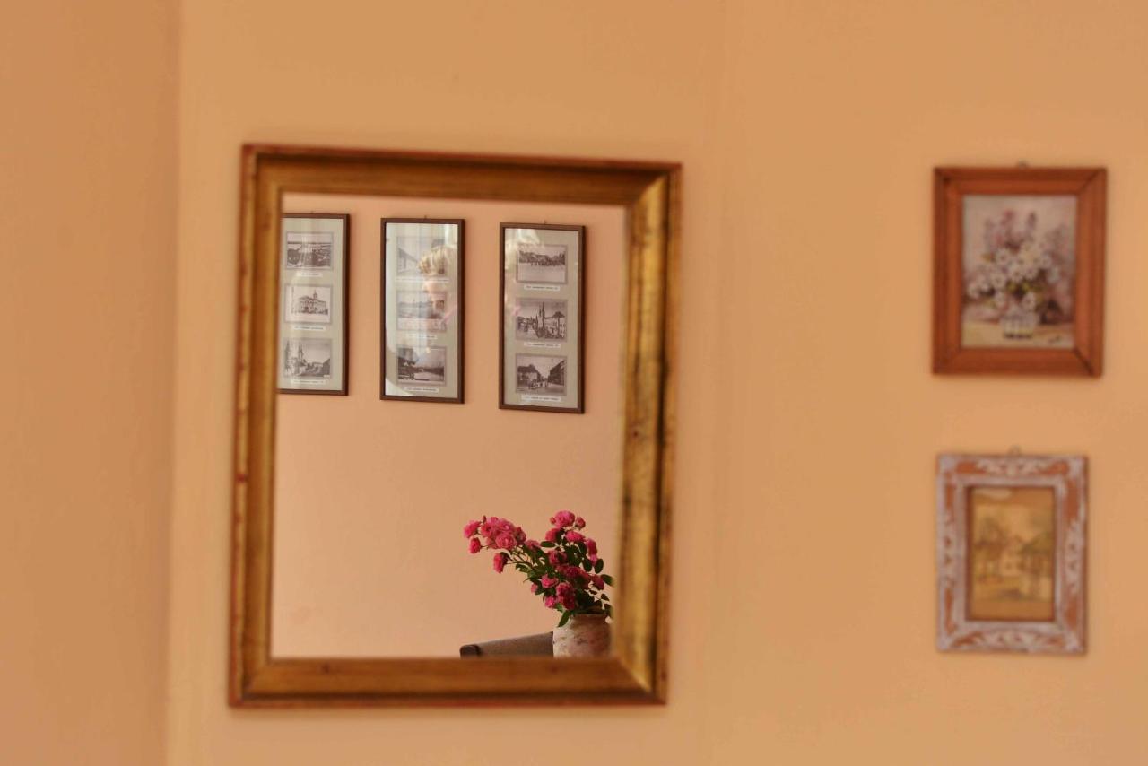 Sobe Gajic Karlofça Dış mekan fotoğraf