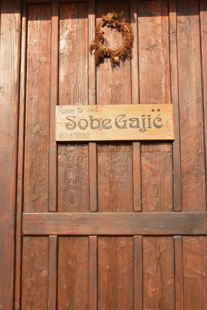 Sobe Gajic Karlofça Dış mekan fotoğraf