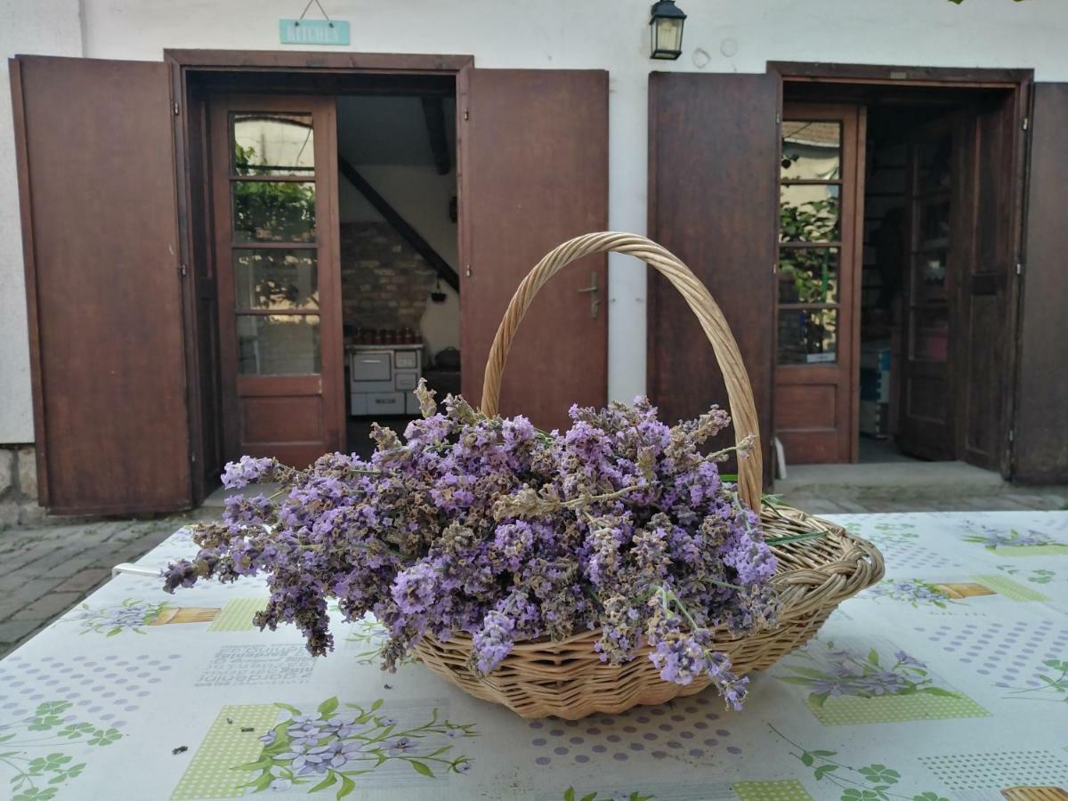 Sobe Gajic Karlofça Dış mekan fotoğraf